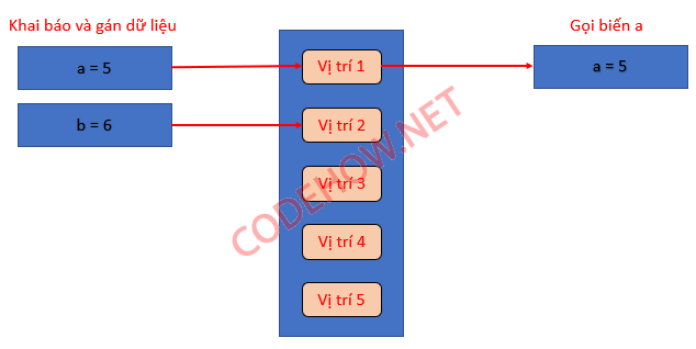 bai5 01 png